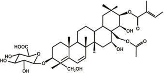 Gymnema